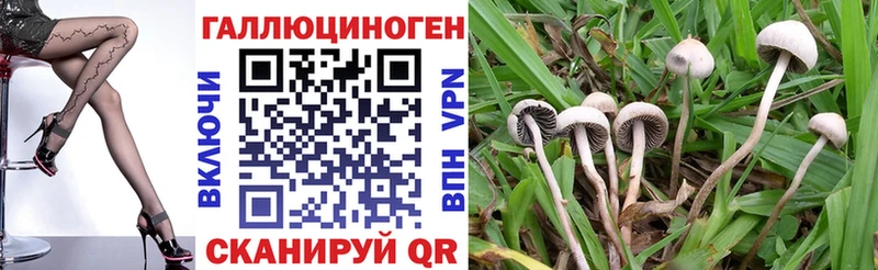 Галлюциногенные грибы Magic Shrooms Купить где Сосногорск